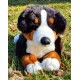 Peluche Chien Bouvier Bernois 45 cm