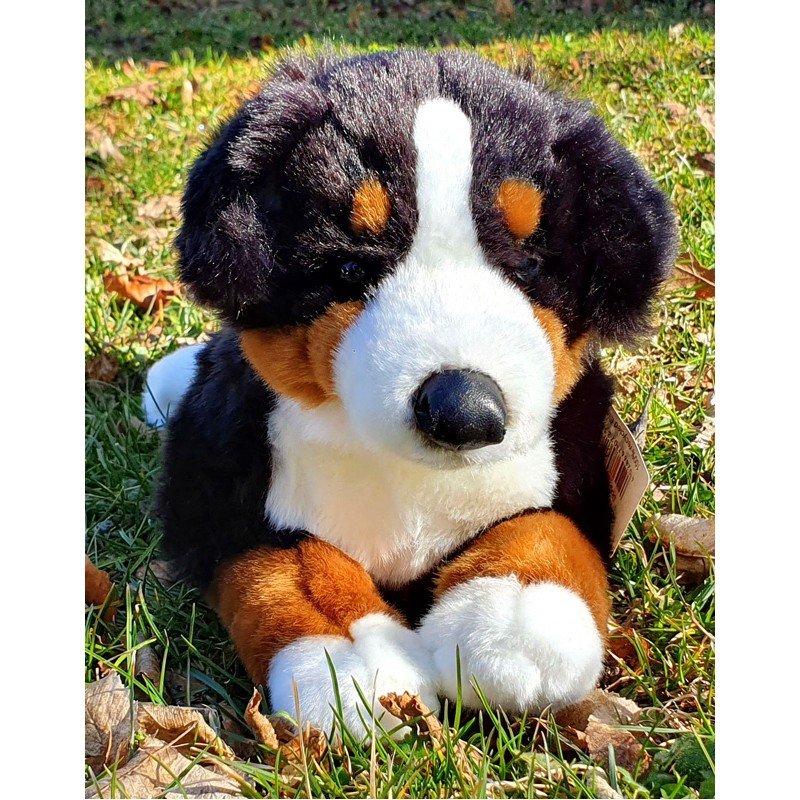 Peluche Chien Bouvier Bernois 31 cm - La Magie des Automates