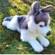 Peluche Chien Husky 45 cm