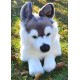 Peluche Chien Husky 45 cm