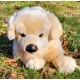 Peluche Chien Golden Retriever 45 cm