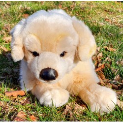 Peluche Chien Golden Retriever 31 cm