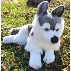 Peluche Chien Husky 31 cm