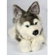 Peluche Chien Husky 45 cm