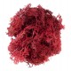 Mousse lichen rouge 50 g