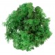 Mousse lichen vert vif 50 g