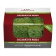 Mousse lichen vert vif 50 g