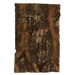Morceau de bois avec écorce liège 18x12 cm