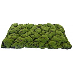 Tapis mousse épaisse vert marron 70x50 cm