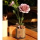 Maquette bois fleur Oeillets roses