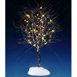 Noyer cendré lumineux doré 24 cm LEMAX