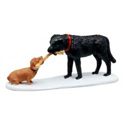 Chiens tirant une corde lemax